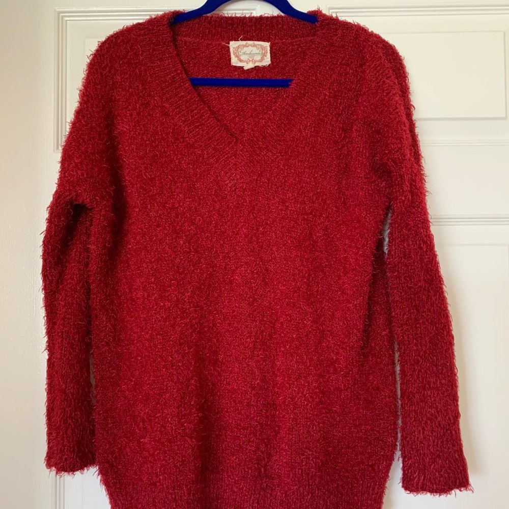 Red Sweater/Tunic